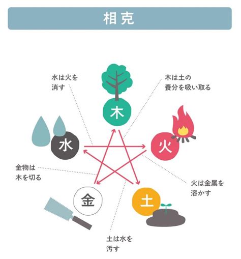 木剋土 意味|【木剋土 意味】木剋土的秘密：揭開五行相剋的深層。